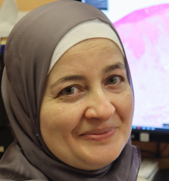 Dr Somaia Elsheikh